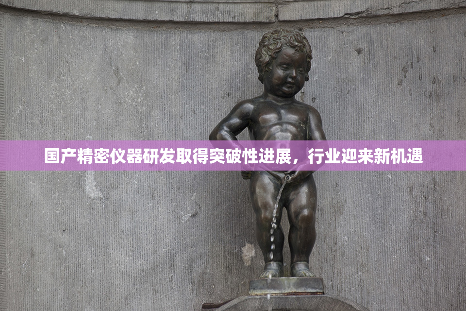 国产精密仪器研发取得突破性进展，行业迎来新机遇