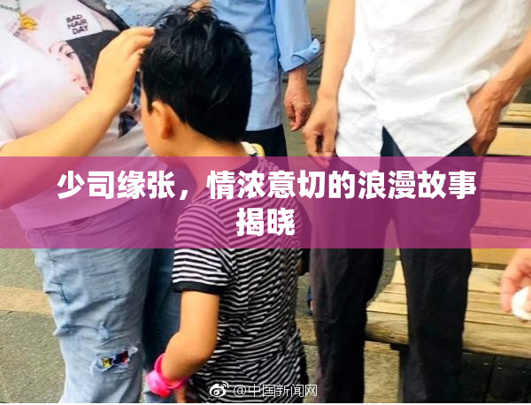 少司缘张，情浓意切的浪漫故事揭晓