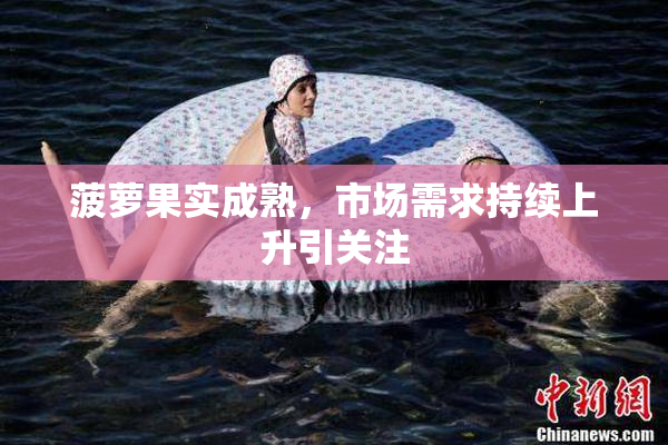 菠萝果实成熟，市场需求持续上升引关注