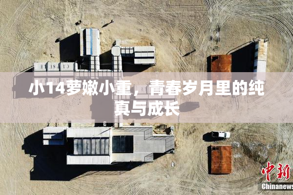 小14萝嫩小重，青春岁月里的纯真与成长