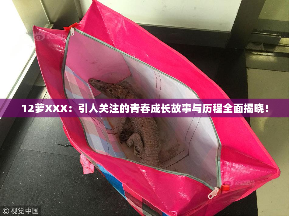 12萝XXX：引人关注的青春成长故事与历程全面揭晓！