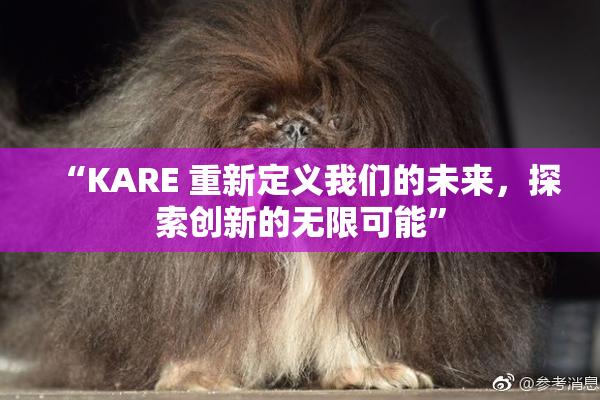 “KARE 重新定义我们的未来，探索创新的无限可能”