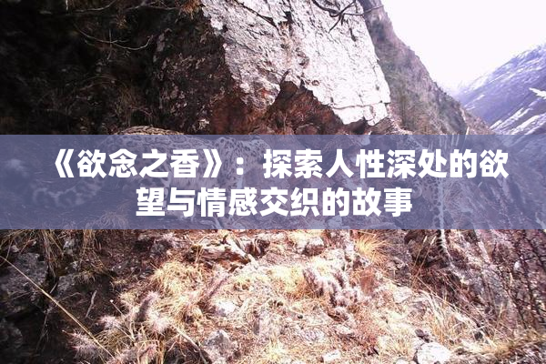 《欲念之香》：探索人性深处的欲望与情感交织的故事