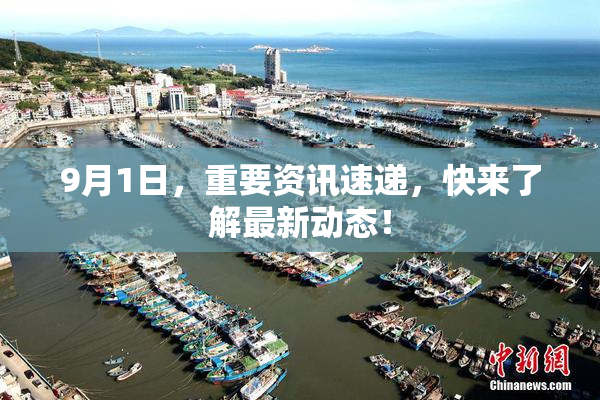 9月1日，重要资讯速递，快来了解最新动态！