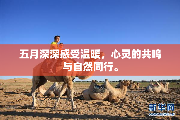 五月深深感受温暖，心灵的共鸣与自然同行。
