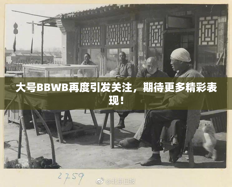 大号BBWB再度引发关注，期待更多精彩表现！
