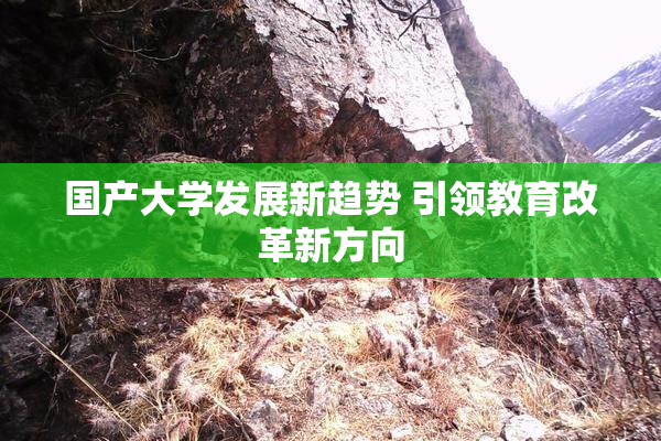 国产大学发展新趋势 引领教育改革新方向