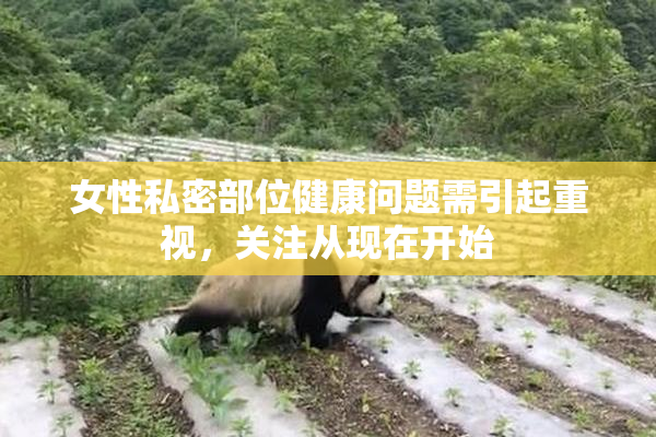 女性私密部位健康问题需引起重视，关注从现在开始