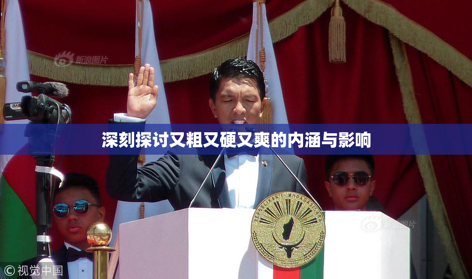 深刻探讨又粗又硬又爽的内涵与影响