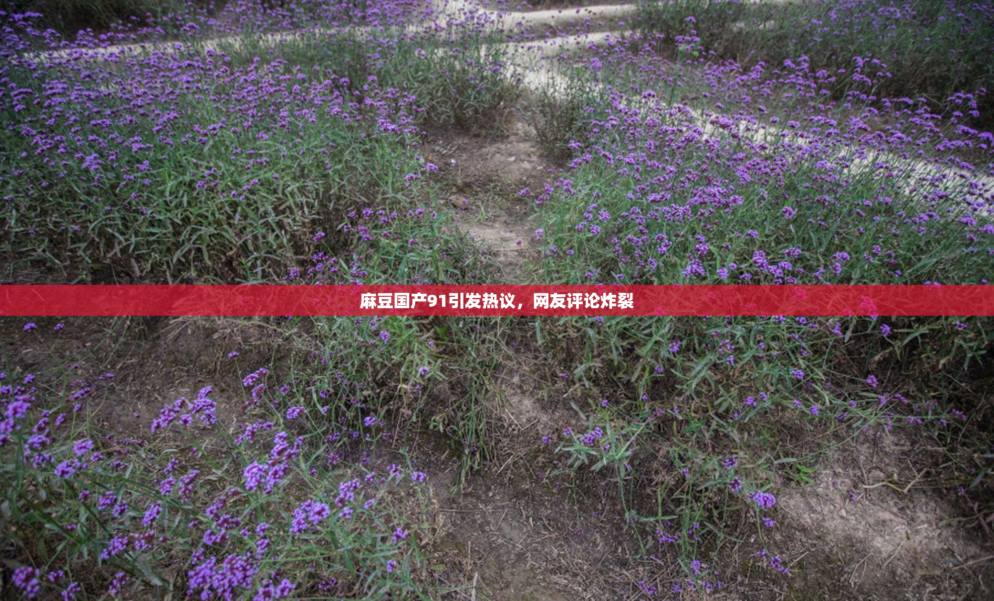 麻豆国产91引发热议，网友评论炸裂