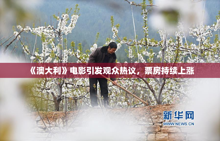 《澳大利》电影引发观众热议，票房持续上涨