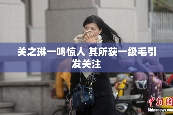 关之琳一鸣惊人 其所获一级毛引发关注