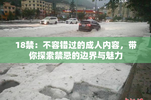 18禁：不容错过的成人内容，带你探索禁忌的边界与魅力