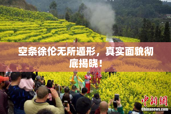 空条徐伦无所遁形，真实面貌彻底揭晓！