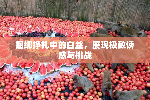 捆绑挣扎中的白丝，展现极致诱惑与挑战