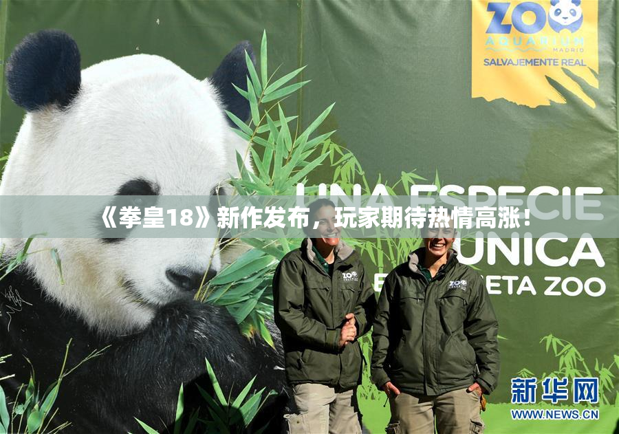 《拳皇18》新作发布，玩家期待热情高涨！