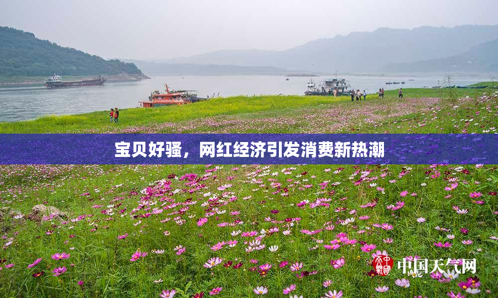 宝贝好骚，网红经济引发消费新热潮
