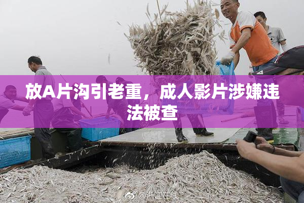 放A片沟引老重，成人影片涉嫌违法被查