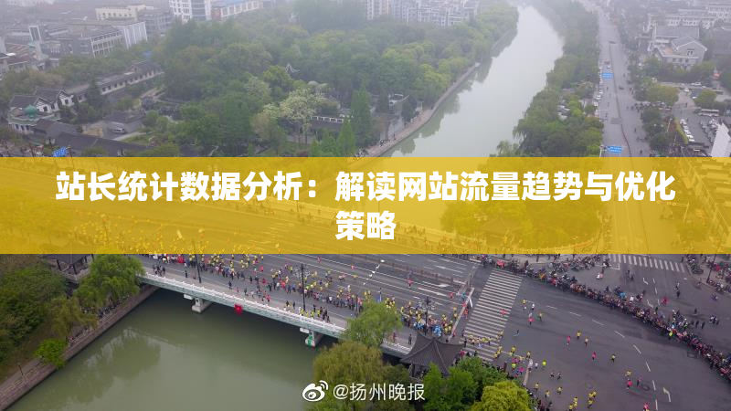 站长统计数据分析：解读网站流量趋势与优化策略