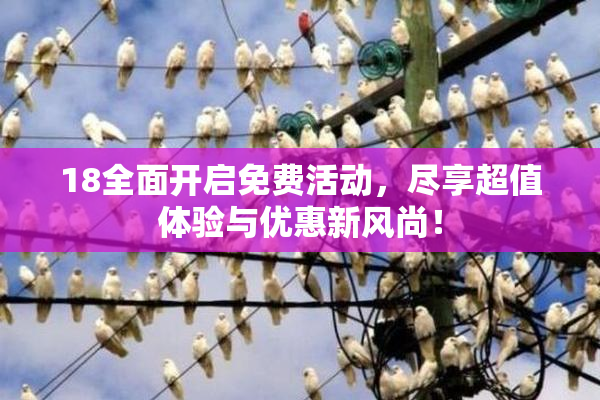 18全面开启免费活动，尽享超值体验与优惠新风尚！
