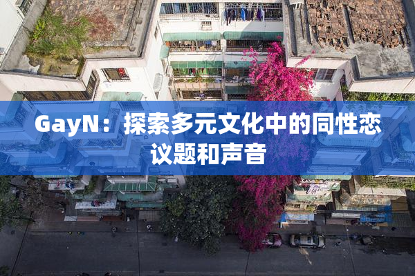GayN：探索多元文化中的同性恋议题和声音