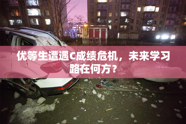 优等生遭遇C成绩危机，未来学习路在何方？