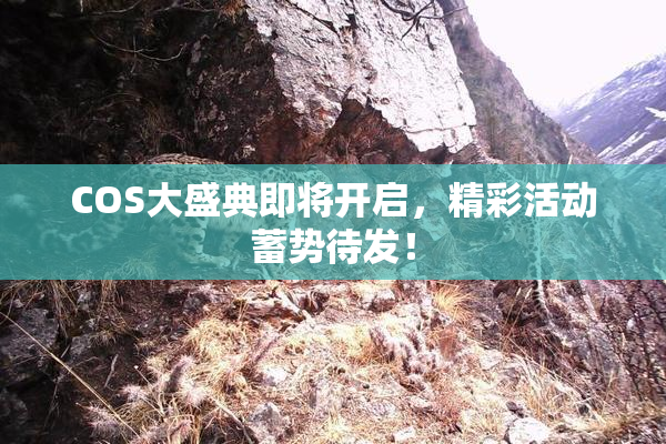 COS大盛典即将开启，精彩活动蓄势待发！