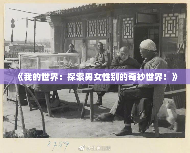 《我的世界：探索男女性别的奇妙世界！》