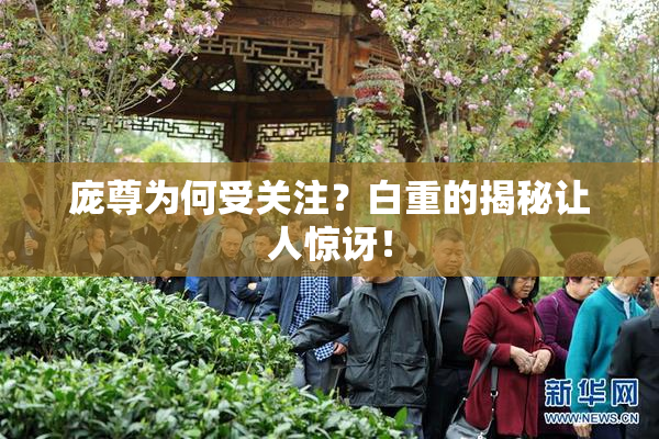 庞尊为何受关注？白重的揭秘让人惊讶！