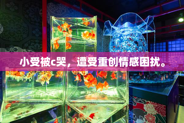 小受被c哭，遭受重创情感困扰。