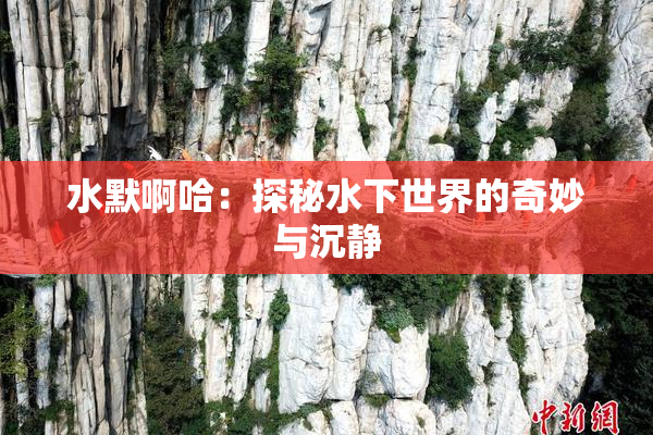 水默啊哈：探秘水下世界的奇妙与沉静
