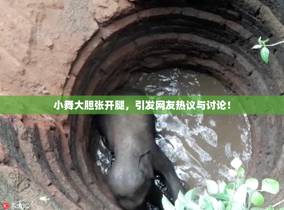 小舞大胆张开腿，引发网友热议与讨论！