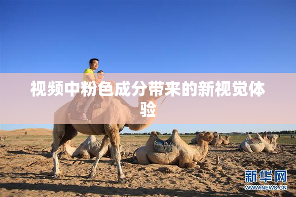 视频中粉色成分带来的新视觉体验
