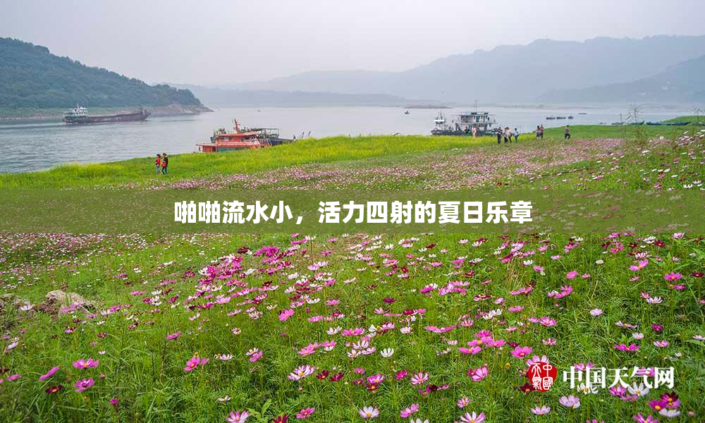 啪啪流水小，活力四射的夏日乐章