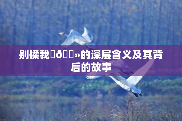 别揉我‌🐻的深层含义及其背后的故事