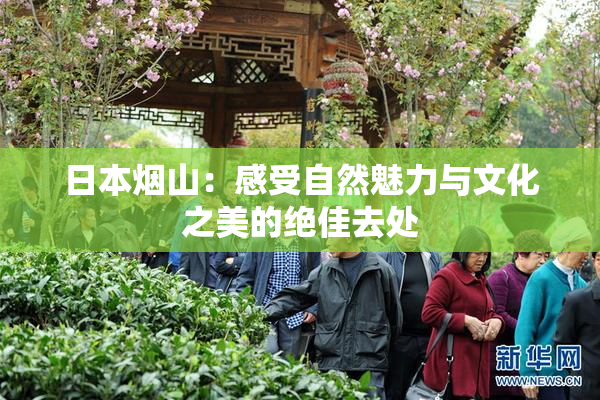 日本烟山：感受自然魅力与文化之美的绝佳去处