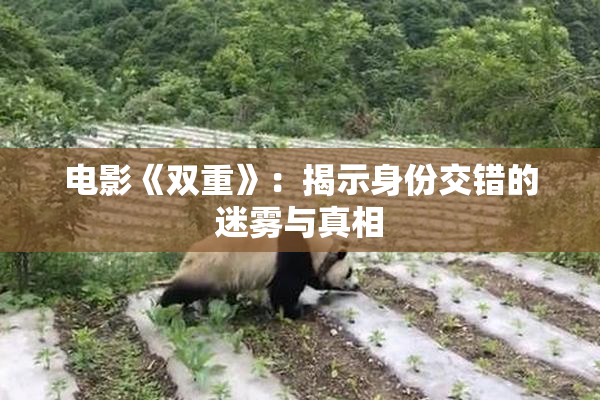 电影《双重》：揭示身份交错的迷雾与真相