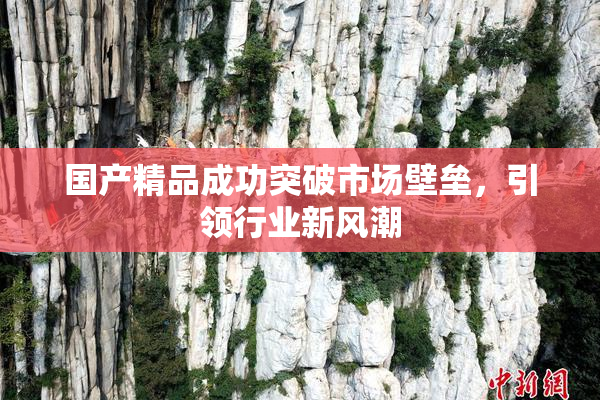 国产精品成功突破市场壁垒，引领行业新风潮