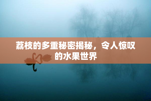 荔枝的多重秘密揭秘，令人惊叹的水果世界