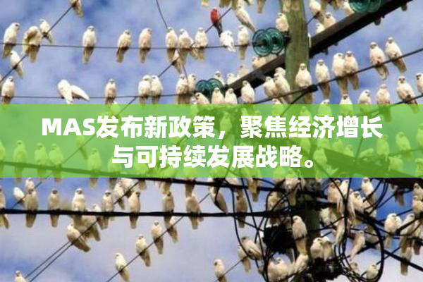 MAS发布新政策，聚焦经济增长与可持续发展战略。