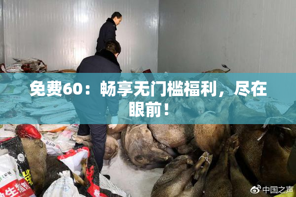 免费60：畅享无门槛福利，尽在眼前！
