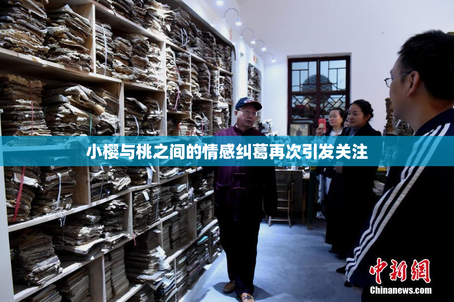 小樱与桃之间的情感纠葛再次引发关注