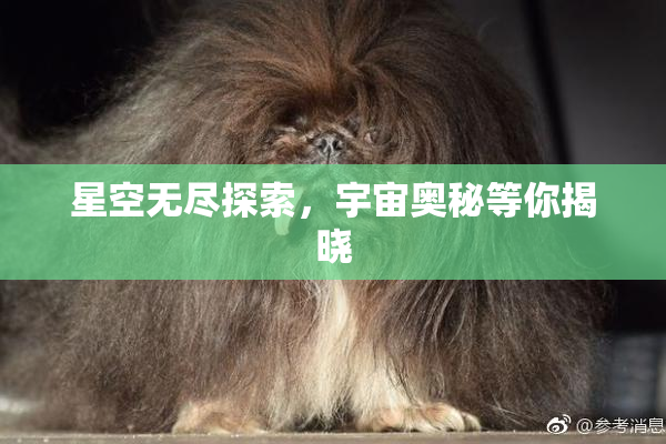 星空无尽探索，宇宙奥秘等你揭晓