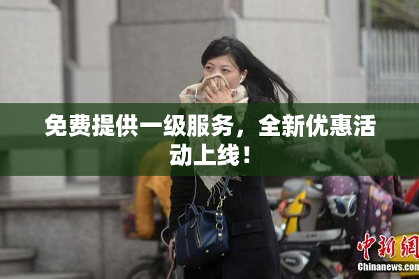免费提供一级服务，全新优惠活动上线！