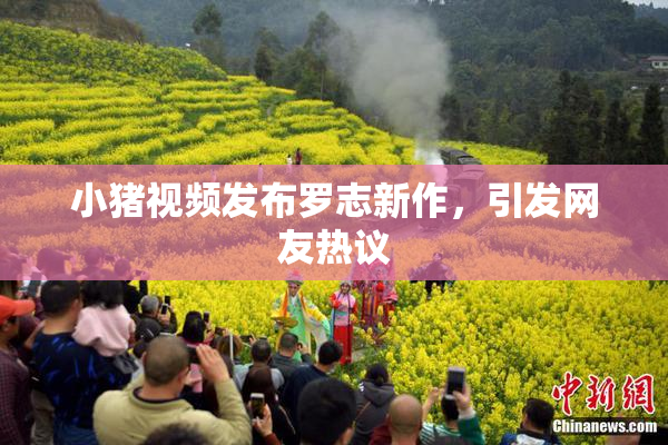 小猪视频发布罗志新作，引发网友热议