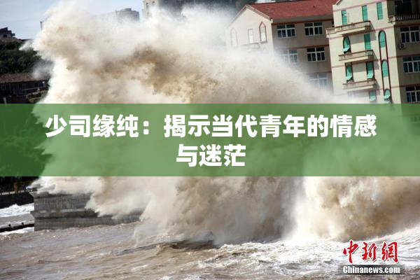 少司缘纯：揭示当代青年的情感与迷茫