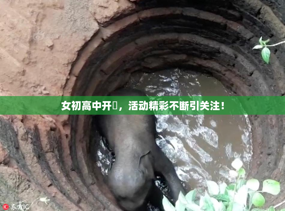 女初高中开笣，活动精彩不断引关注！
