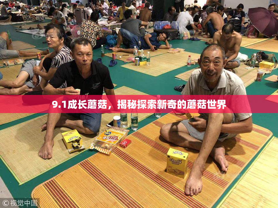 9.1成长蘑菇，揭秘探索新奇的蘑菇世界