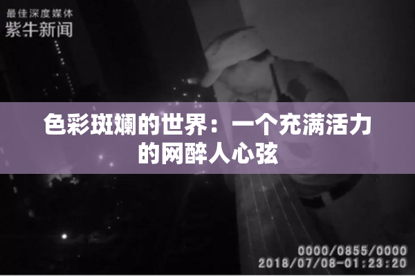 色彩斑斓的世界：一个充满活力的网醉人心弦