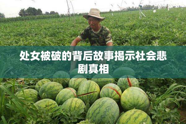 处女被破的背后故事揭示社会悲剧真相